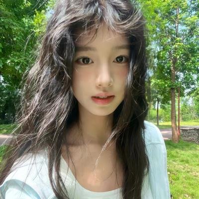 猫王艾维斯